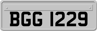 BGG1229