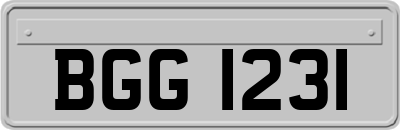 BGG1231