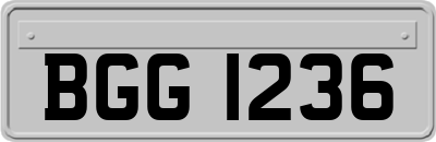 BGG1236