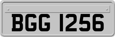 BGG1256