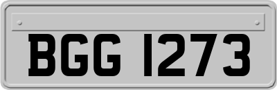 BGG1273