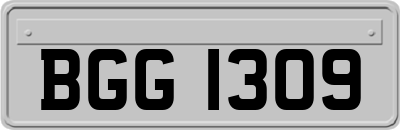 BGG1309
