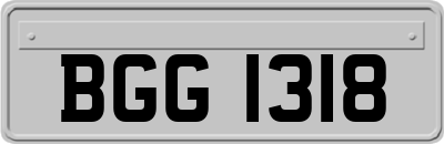 BGG1318
