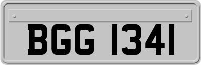 BGG1341