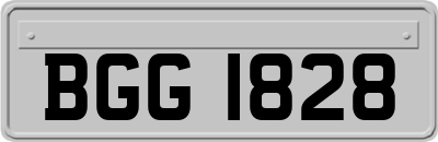 BGG1828