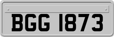 BGG1873