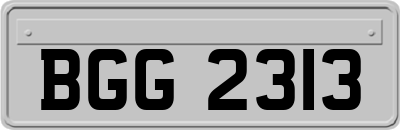 BGG2313