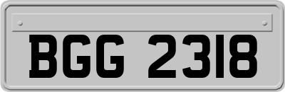 BGG2318