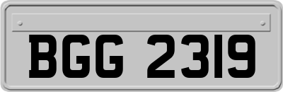 BGG2319