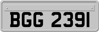 BGG2391