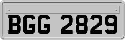 BGG2829