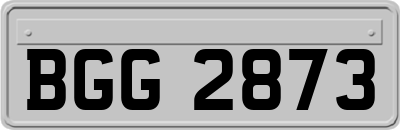 BGG2873