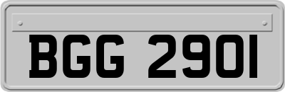 BGG2901