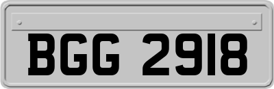 BGG2918