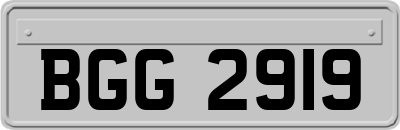 BGG2919