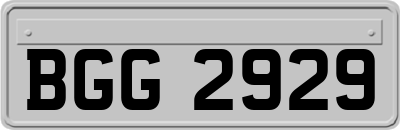 BGG2929