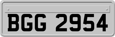 BGG2954