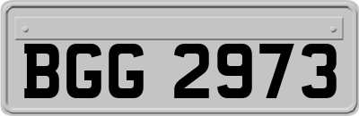 BGG2973