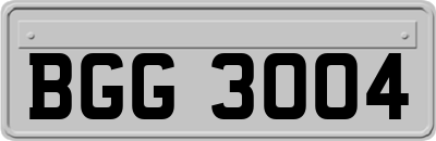 BGG3004