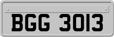 BGG3013