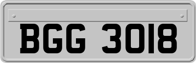 BGG3018