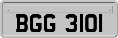 BGG3101