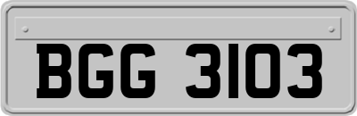BGG3103