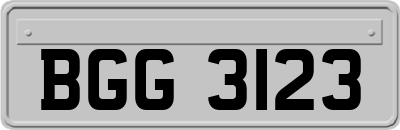BGG3123