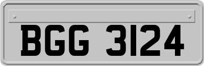 BGG3124