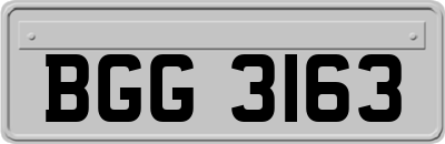 BGG3163