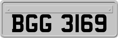 BGG3169