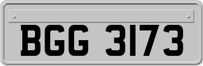 BGG3173