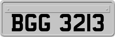 BGG3213