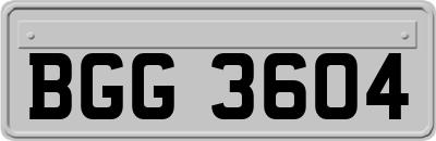 BGG3604