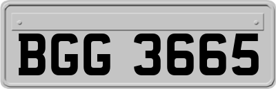 BGG3665