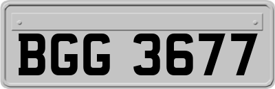 BGG3677