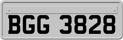 BGG3828