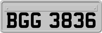 BGG3836