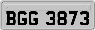 BGG3873