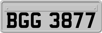 BGG3877