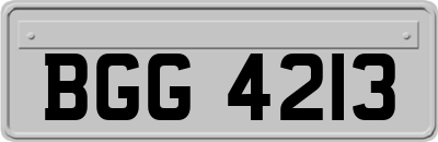 BGG4213