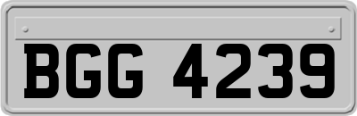 BGG4239