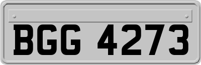 BGG4273