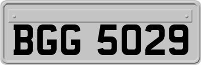 BGG5029