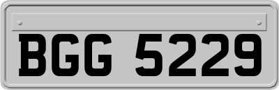 BGG5229
