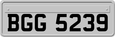BGG5239