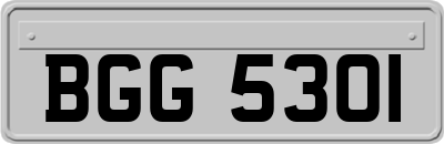 BGG5301