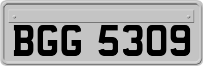 BGG5309
