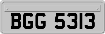 BGG5313