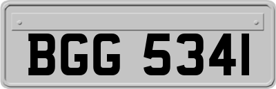 BGG5341
